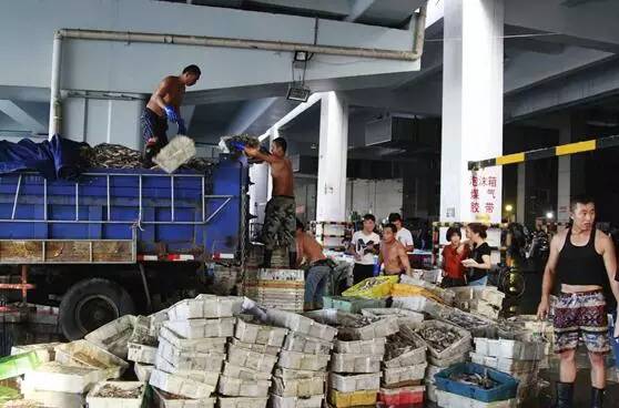 从打工仔变身水产经营大户 他的商机竟来自意外落海