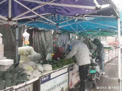 济南蔬菜批发市场冬储菜价格平稳,叶菜受降雪和交通影响价格稍有上涨
